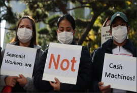 외국인 계절노동자 노동인권 침해 특별감독 결과 발표